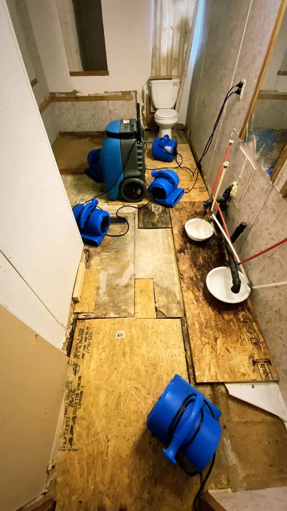 Bathroom subfloor replacement in progress