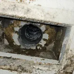 Microbial growth inside a supply vent before duct remediation