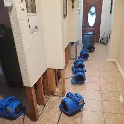 Entry hall flood cuts with air movers running