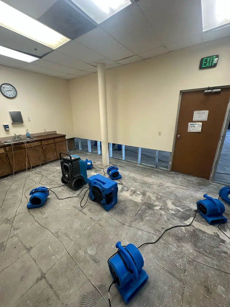Air movers drying a flood-cut office suite
