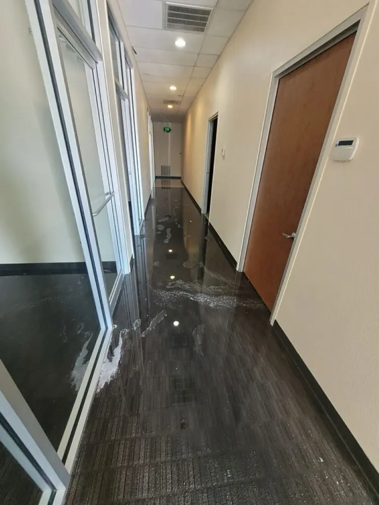 Water migrating down an office hallway before extraction