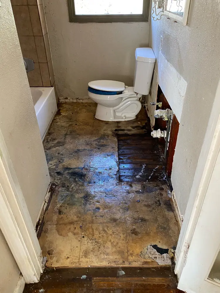 Bathroom stripped after mold was found under the flooring