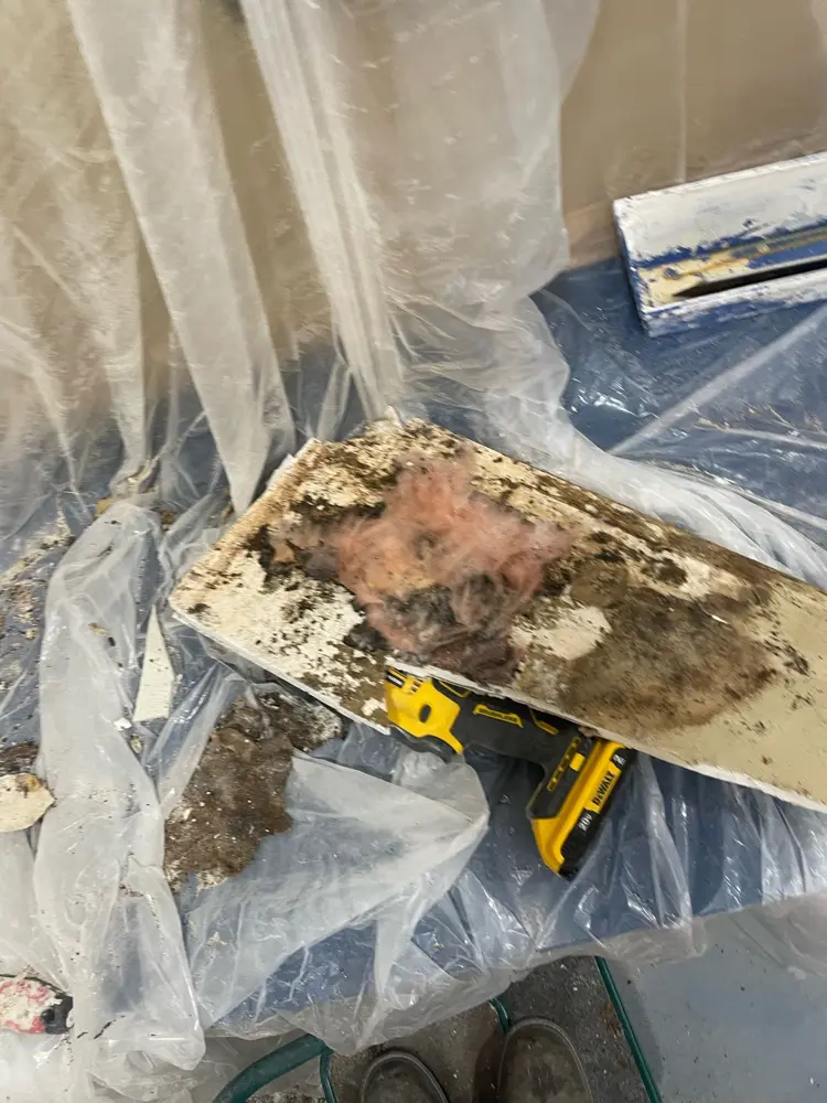 Plastic containment sealing a mold remediation work area