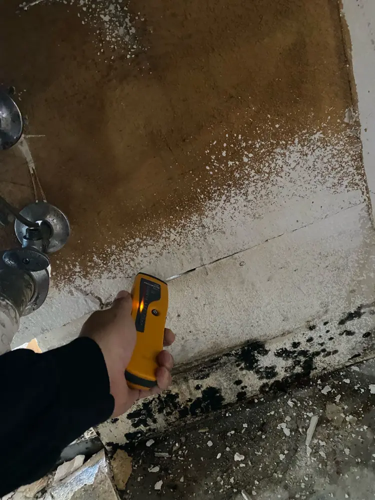 Moisture meter tracing the water source behind mold growth