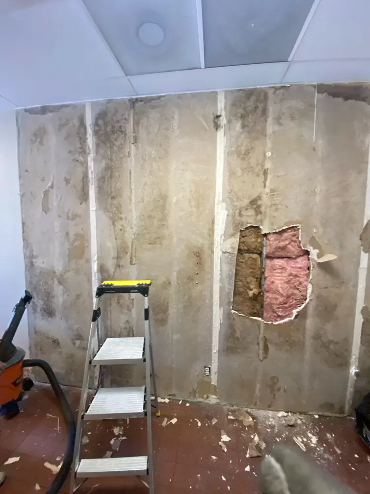 Walls stripped and treated during mold remediation