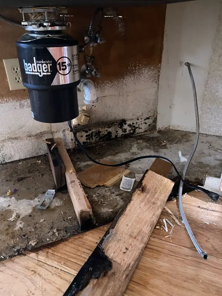 Rotted boards and mold from a slow leak under a kitchen sink