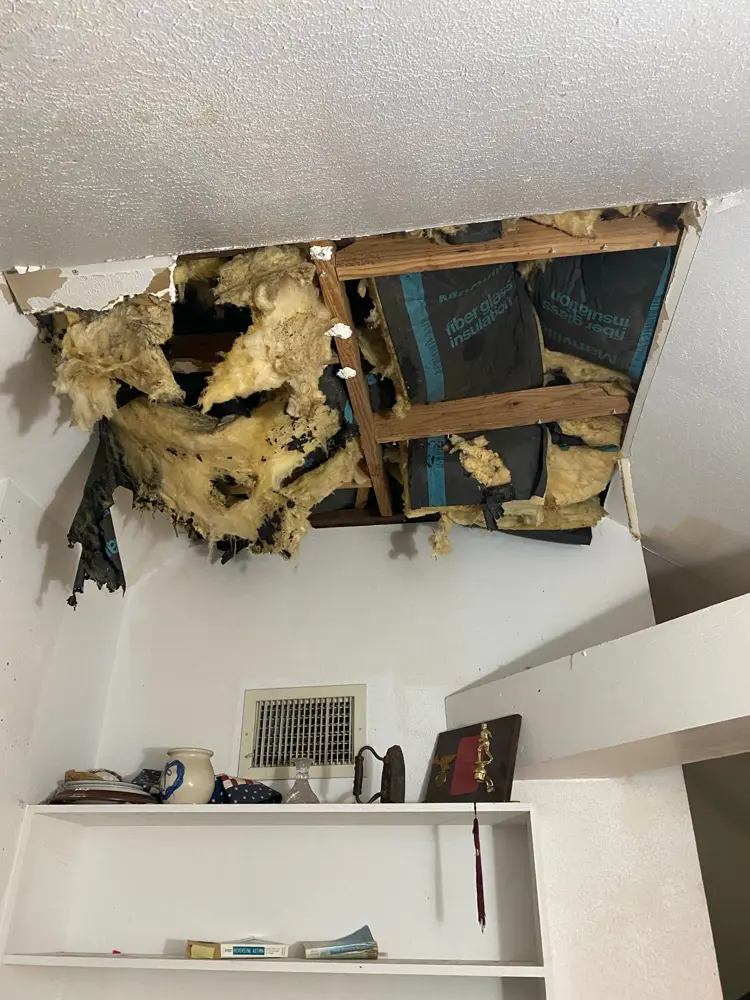 Ceiling opened to expose soaked insulation after a roof leak