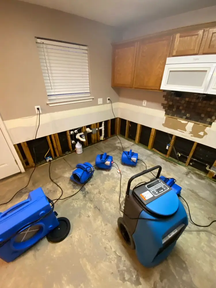Kitchen cabinets removed and walls flood-cut, drying in progress
