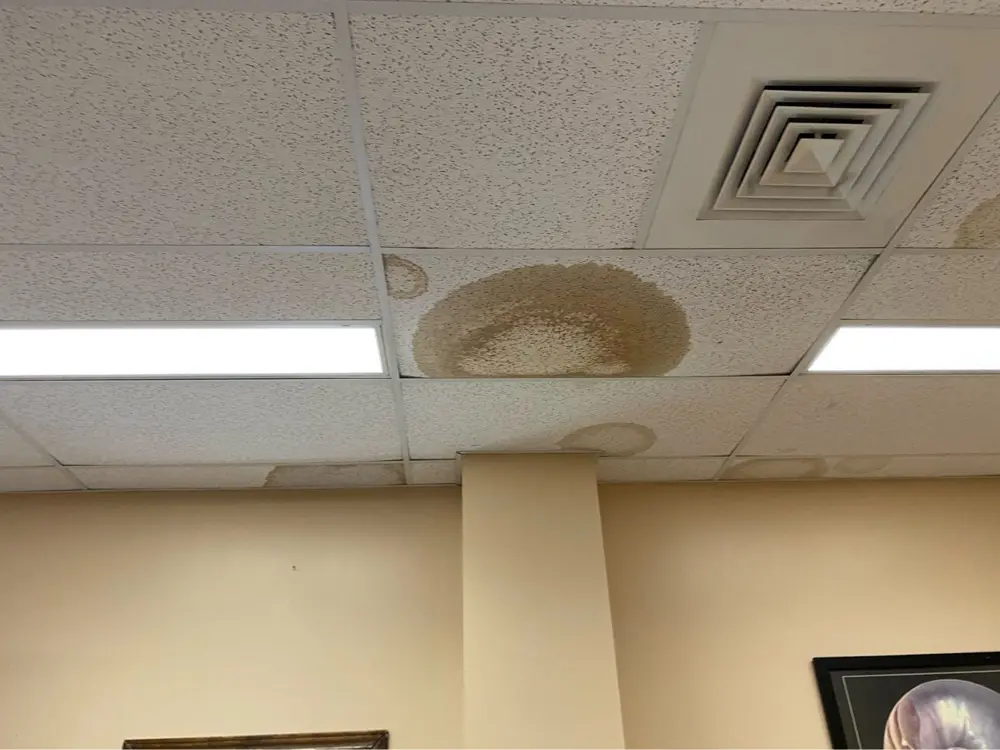Water-stained office ceiling tiles before mitigation